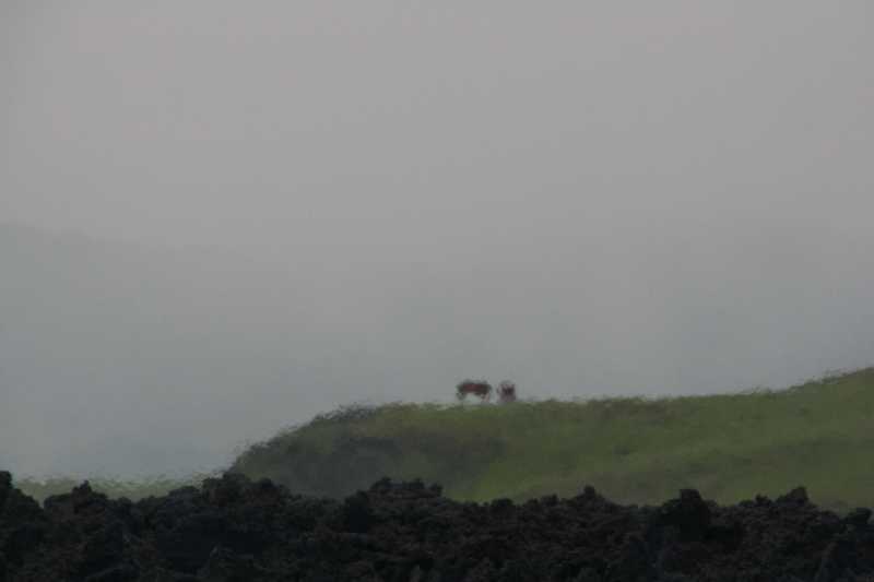 Mexico & Guatemala 2010 - 0771